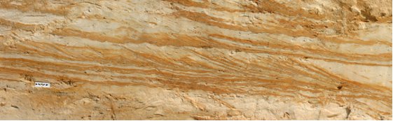 Image: Folkestone Sands Formation of the Lower Greensand Group