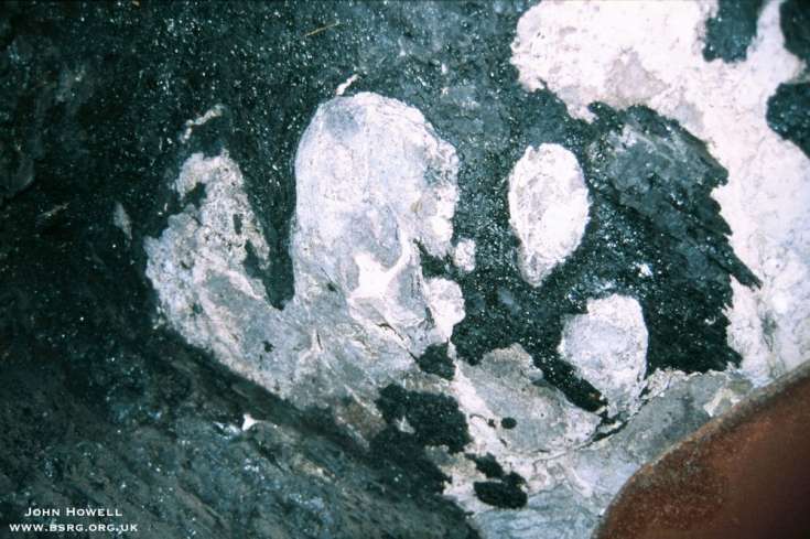 Dinosaur footprint in coal seam in the roof of a mine. Book Cliffs Eastern Utah.